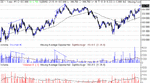 es 20-12-02 vol.gif