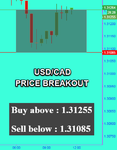 USDCAD Fibo.png