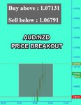 AUDNZD Fibo.jpg