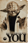 Yoda.PNG