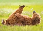 take-time-to-smell-the-flowers.jpg