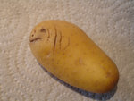 potatofish.jpg