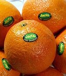 jaffa_oranges.jpg