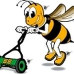 busybee.jpg