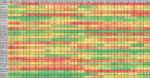 fx daily st momo rank 7 may.png