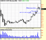 SNDK101105.gif