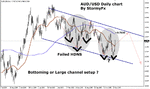 stormyfxaudusd012006.gif