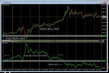 USD vs Gold 2020.JPG