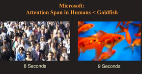 Man or Goldfish.png