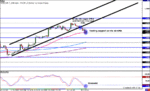 Swissy-4hr.gif