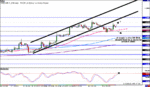 Swissy-4hr.gif