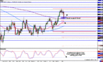 Swissy-Daily.gif