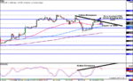 Swissy-4hr.gif