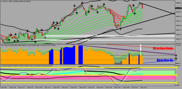 US30M1 TOP CHECK 2.png