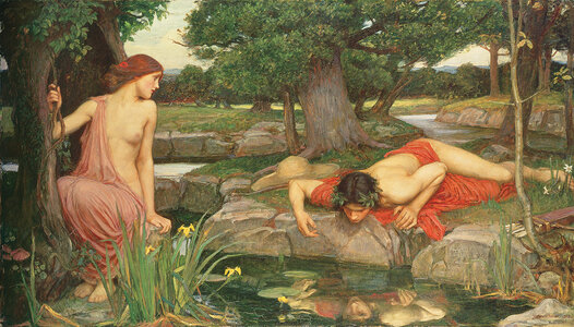 narcissus.jpg