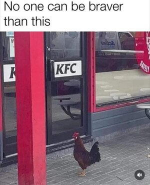 Joke - KFC Non Braver..jpg