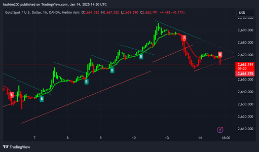 XAUUSD_2025-01-14_17-51-16.png