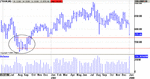 Tran2.gif