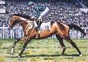 Shergar1.jpg