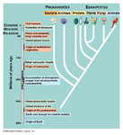 I11-28-microbiology.jpg