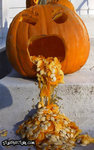 puking_pumpkin.jpg