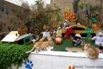 malta-Cat-Village.JPG