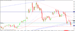 gold daily - trail behind daly sw lo's.gif