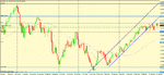 nzd usd daily.gif