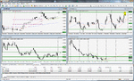 eur nzd stop hit.gif