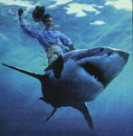 2000_shark_ride.jpg