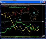 60ma duck in action this week.jpg