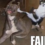 fail-dog-24-600x400_square_fullsize.jpg