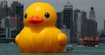 big duck.JPG