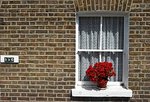 A088-00146_Flower_pot_on_a_window_sill.jpg