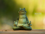 zen_as_a_frog.jpg