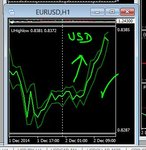 usd bull today.JPG