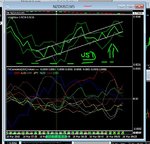 usd bull phase.JPG