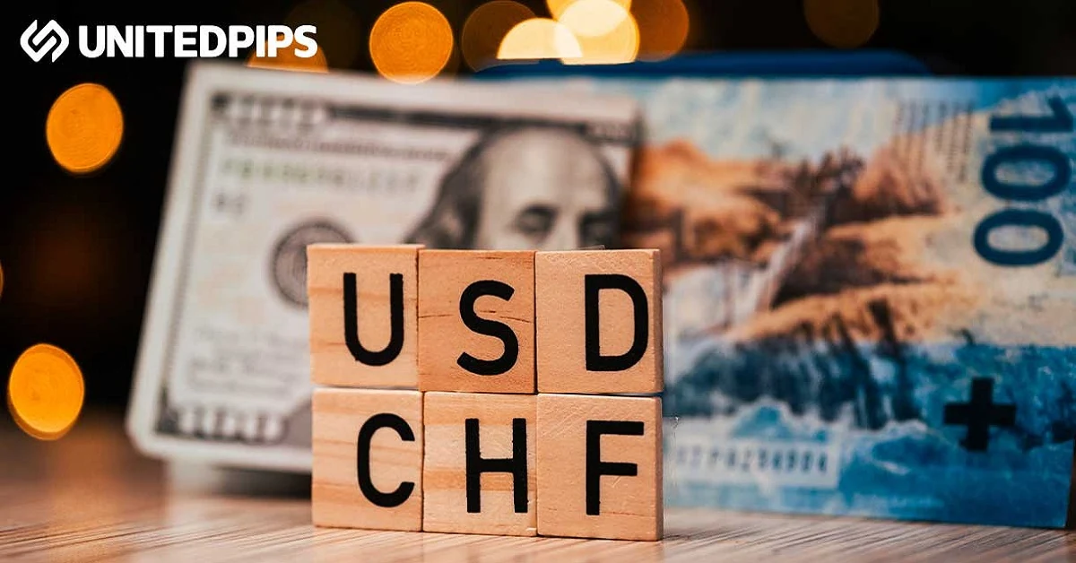 USDCHF-market-overview.webp