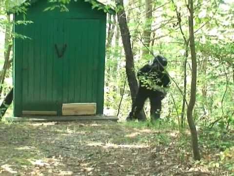 d42ba58c6cffe210ccc67d33672287e9--bigfoot-footage.jpg